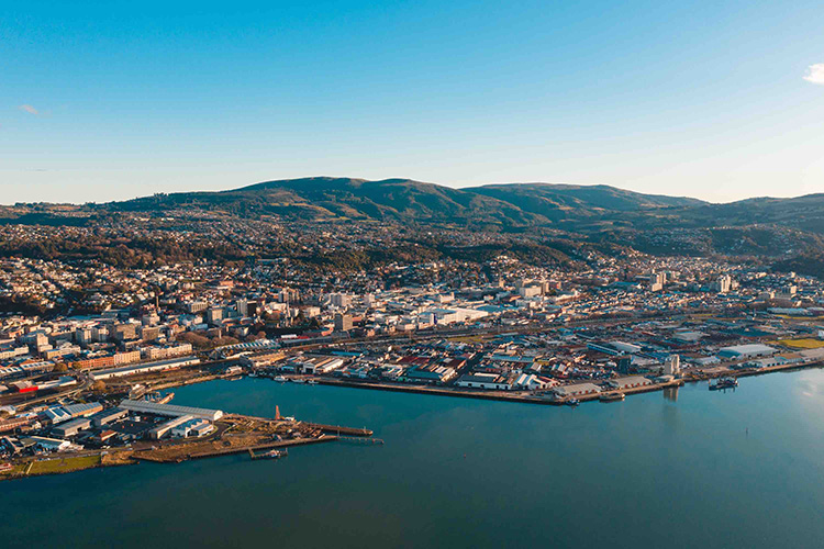 Aerial shot of Dunedin city