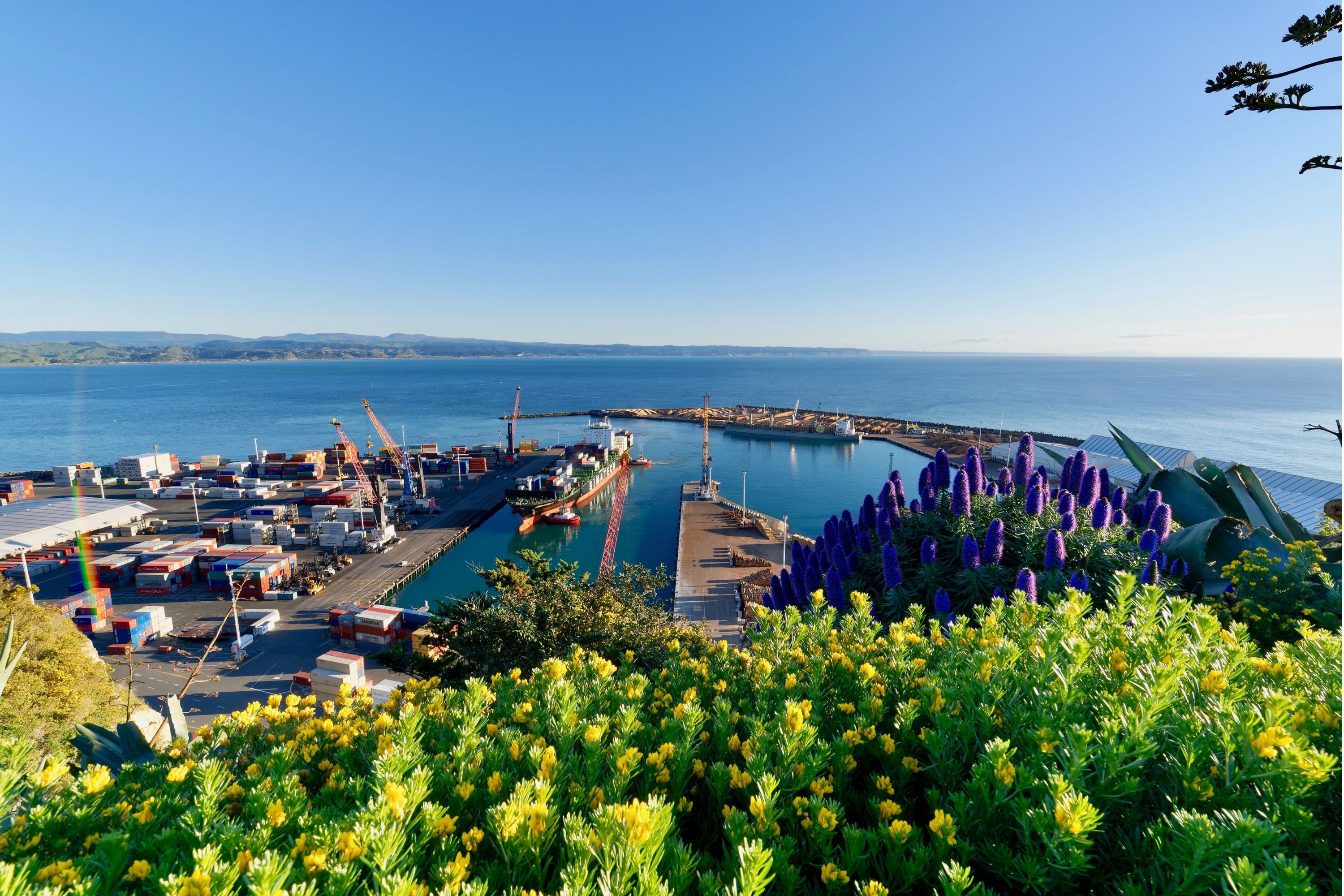 Napier port on a sunny day