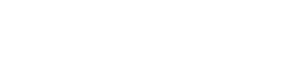 Adobe Gold Solution Partner logo