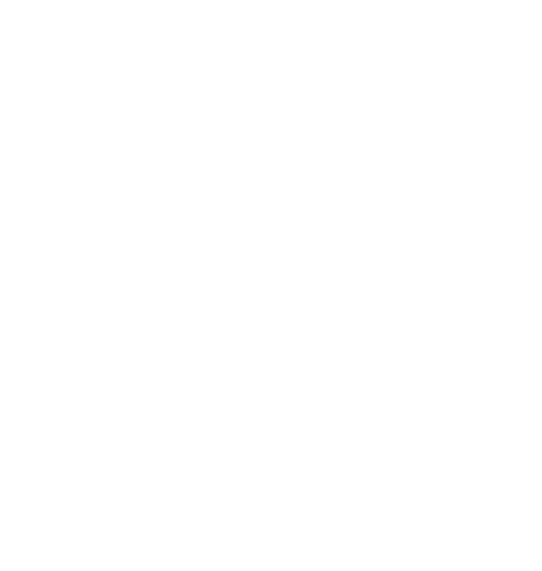 Cisco Gold Integrator Premier Provider logo