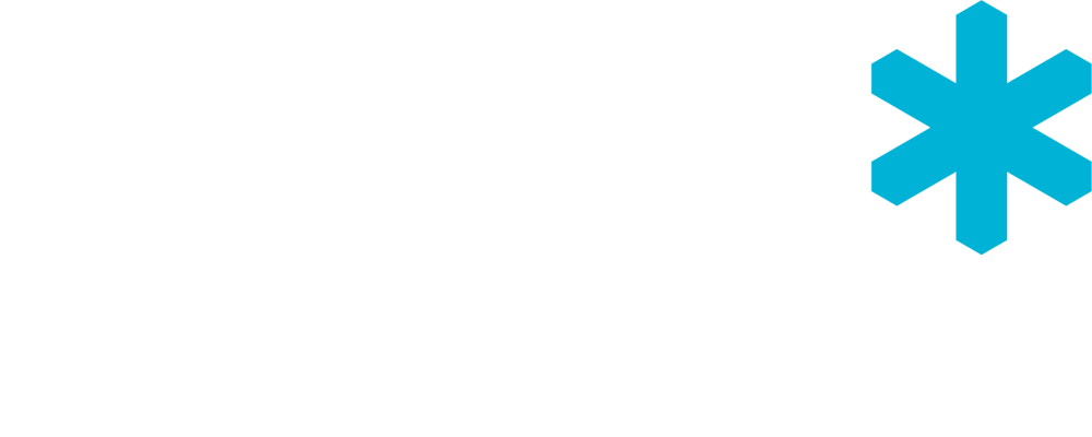 Snow logo